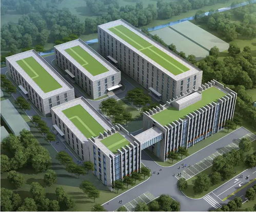 綿陽軟件設計產業駛入快車道 政策加碼與創(chuàng)新突破共筑發(fā)展新高地